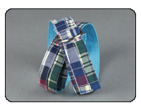 C-Red Brand Blue Multi Madras Web Belt