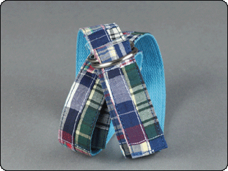 C-Red Brand Blue Multi Madras Web Belt