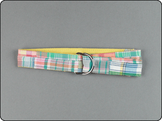 C-Red Brand Pastel Multi Madras Web Toddler Preppy Belt